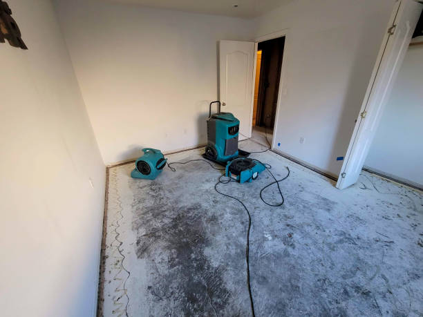 Best Water damage restoration near me  in Vinton, IA