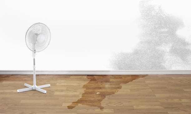 Best Basement water damage restoration  in Vinton, IA