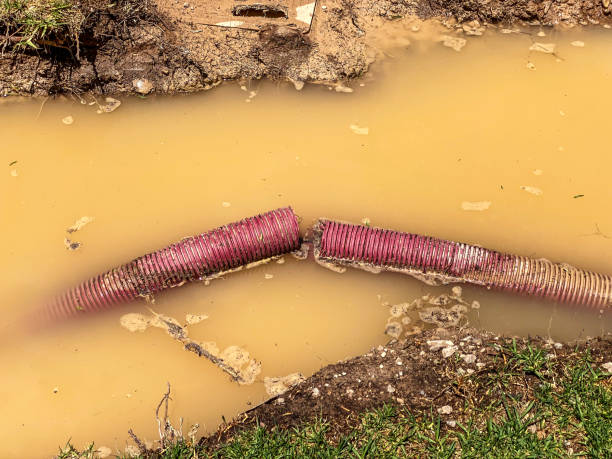 Best Fire Damage Restoration  in Vinton, IA