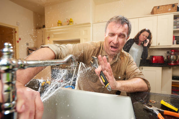 Best Flooded house restoration  in Vinton, IA